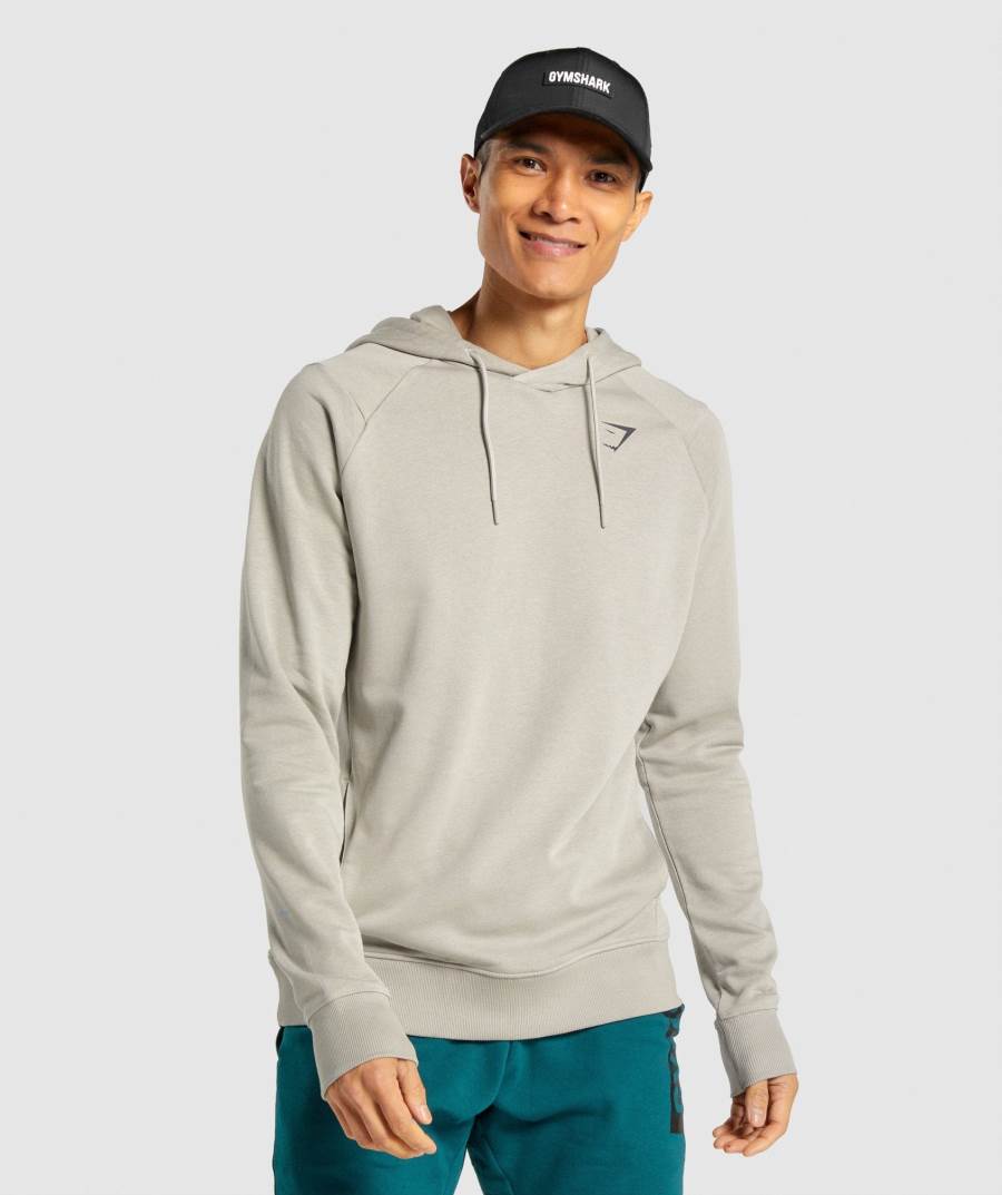Panske Mikiny S Kapucňou Gymshark Bold Siva | DM0243985
